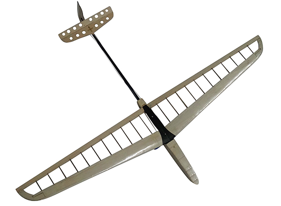 Amazon.co.jp: DANCUNG WING HOBBY サンバード 1600mm バルサ